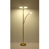 Globo lighting Tirana ceiling light LED brass, 1-light source