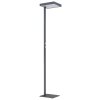 Globo lighting Barker floor lamp LED anthracite, 1-light source