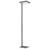 Globo lighting Barker floor lamp LED anthracite, 1-light source