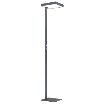 Globo lighting Barker floor lamp LED anthracite, 1-light source
