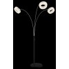 Globo lighting Laurel floor lamp LED black, 1-light source
