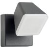 AEG Isacco Outdoor Wall Light LED anthracite, 1-light source