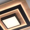 Leuchten Direkt lights TOLA ceiling light LED brown, black, 2-light sources