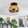 Ripoll ceiling light, globe light gold, clear, 1-light source