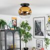 Ripoll ceiling light, globe light gold, clear, 1-light source