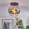Ripoll ceiling light, globe light chrome, clear, Smoke-coloured, 1-light source