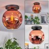 Ripoll ceiling light, globe light coppery, 1-light source