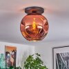 Ripoll ceiling light, globe light coppery, 1-light source