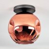 Ripoll ceiling light, globe light coppery, 1-light source