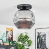 Ripoll ceiling light, globe light Smoke-coloured, 1-light source