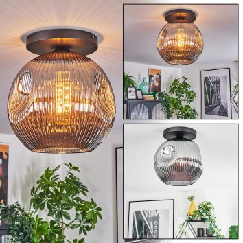 Ripoll ceiling light, globe light Smoke-coloured, 1-light source