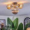 Chehalis ceiling light, globe light gold, black, 3-light sources