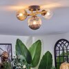 Chehalis ceiling light, globe light gold, black, 3-light sources