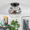 Ripoll ceiling light, globe light clear, Smoke-coloured, 1-light source