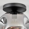 Ripoll ceiling light, globe light clear, Smoke-coloured, 1-light source