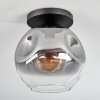 Ripoll ceiling light, globe light clear, Smoke-coloured, 1-light source