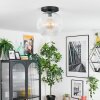 Ripoll ceiling light, globe light clear, 1-light source