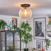 Ripoll ceiling light, globe light clear, 1-light source