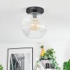Ripoll ceiling light, globe light clear, 1-light source