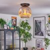 Ripoll ceiling light, globe light chrome, clear, Smoke-coloured, 1-light source