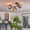 Koyoto ceiling light, globe light clear, Smoke-coloured, 3-light sources