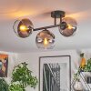 Koyoto ceiling light, globe light clear, Smoke-coloured, 3-light sources