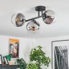 Koyoto ceiling light, globe light clear, Smoke-coloured, 3-light sources