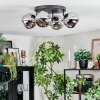 Ripoll ceiling light, globe light chrome, Smoke-coloured, 4-light sources