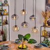 Apedo hanging light, pendant light Amber, clear, Smoke-coloured, 6-light sources