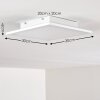 Nexo Ceiling Light LED white, 1-light source, Remote control