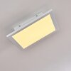 Nexo Ceiling Light LED white, 1-light source, Remote control