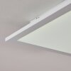 Nexo Ceiling Light LED white, 1-light source, Remote control