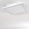 Nexo Ceiling Light LED white, 1-light source, Remote control