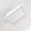 Nexo Ceiling Light LED white, 1-light source, Remote control