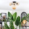 Chehalis ceiling light, globe light gold, black, 3-light sources