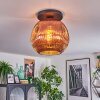 Ripoll ceiling light, globe light coppery, 1-light source