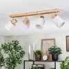 Fallhagen ceiling light, ceiling spotlight chrome, Light wood, 4-light sources