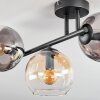 Koyoto ceiling light, globe light Amber, clear, Smoke-coloured, 3-light sources
