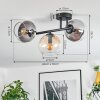 Koyoto ceiling light, globe light Amber, clear, Smoke-coloured, 3-light sources