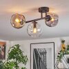 Ripoll ceiling light, globe light Amber, clear, Smoke-coloured, 3-light sources