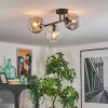 Ripoll ceiling light, globe light Amber, clear, Smoke-coloured, 3-light sources