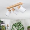 Fallhagen ceiling light, ceiling spotlight chrome, Light wood, 3-light sources