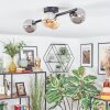 Chehalis ceiling light, globe light Amber, Smoke-coloured, 4-light sources