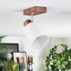 Fallhagen ceiling light, ceiling spotlight chrome, Dark wood, 1-light source