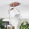 Fallhagen ceiling light, ceiling spotlight chrome, Dark wood, 1-light source