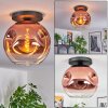 Ripoll ceiling light, globe light clear, coppery, 1-light source