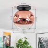 Ripoll ceiling light, globe light clear, coppery, 1-light source