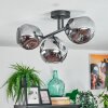 Ripoll ceiling light, globe light Smoke-coloured, 3-light sources