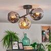Ripoll ceiling light, globe light Amber, Smoke-coloured, 3-light sources