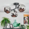 Ripoll ceiling light, globe light chrome, Smoke-coloured, 3-light sources
